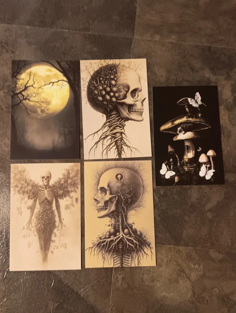 Dark Gothic Postcard Set Of 5, Academia Art Print Correspondence Notes 4x6
